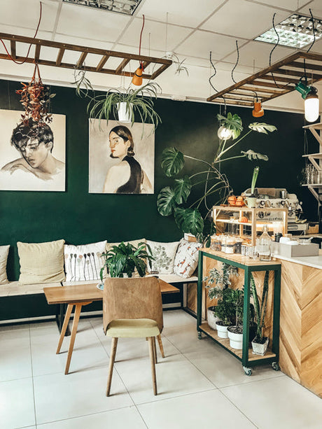 A contemporary cafe setting with plants hanging from the ceiling, wall art, and comfortable looking seating adorned with cushions.