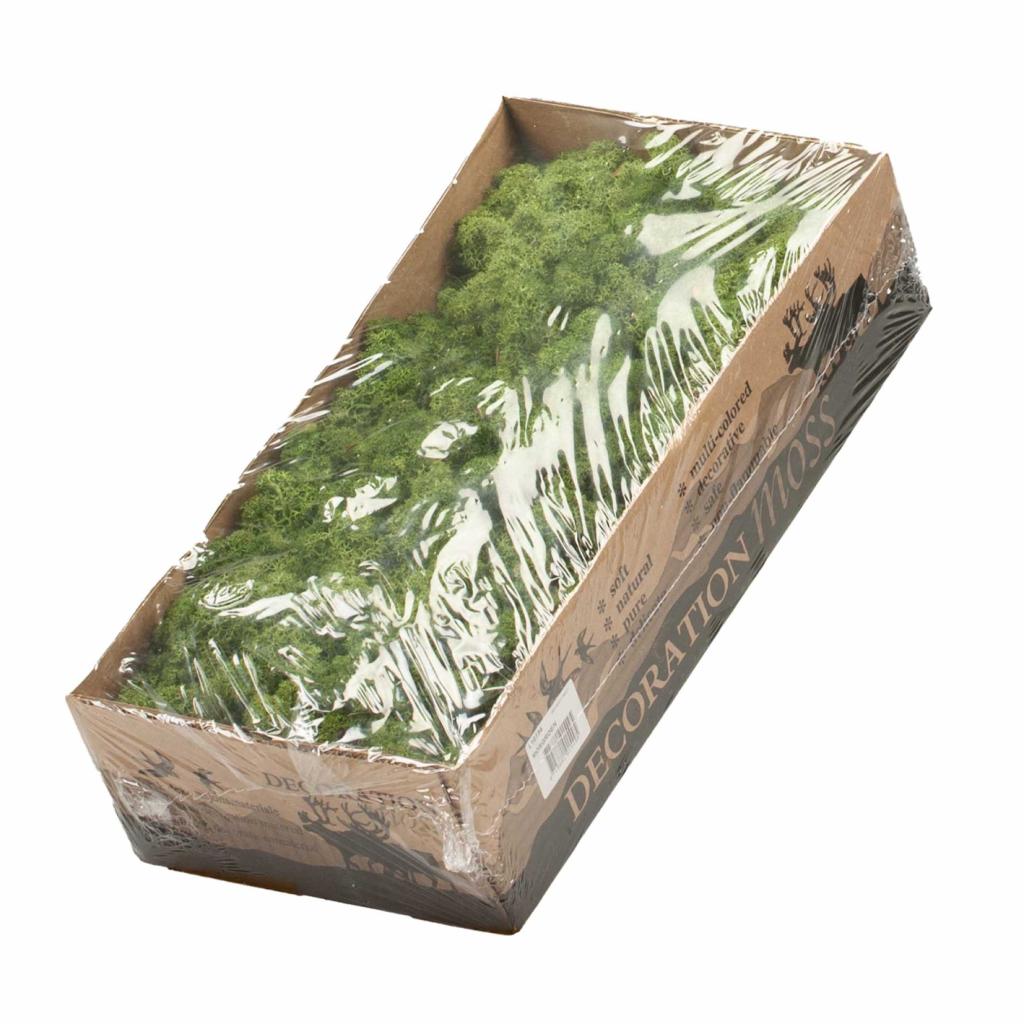 Pre Order Reindeer moss preserved moss green, box x 6