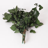 Ivy, Preserved, Green, 150g Bunch