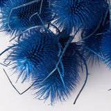 Marshy Thistle, Dried, Dark Blue, Bunch x 10