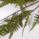 Asparagus Fern Spray (Silk-ka), Artificial, Green, 124cm