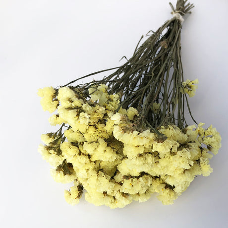 Statice sinuata, Dried, Natural Yellow