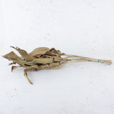 Strelitzia Leaves, Dried, Natural Brown, Bunch x 10