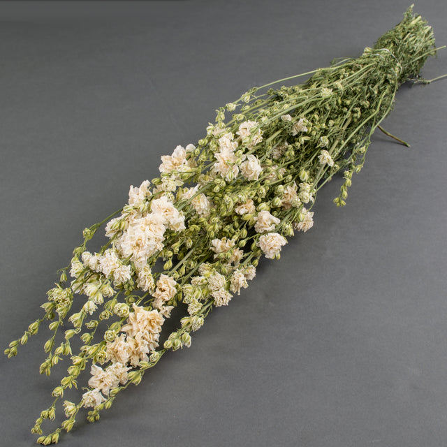 Long green stems flowering with 
buds and white flowers