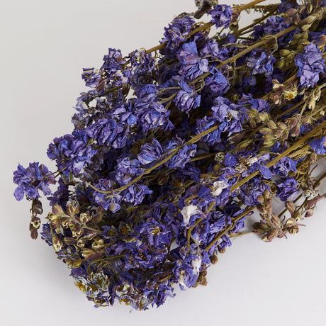 Delphinium, Dried, Natural Lilac