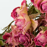 Close up detail of the flowers within a bunch of dried pink spray roses. Delicate roses with that are pink but also have yellow petals in places