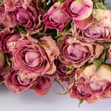 a bunch of dried, light pink roses with cream tints, against a white background