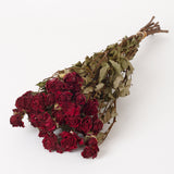 Roses, Spray, Dried, Natural Red, x 10 Stems