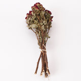 Roses, Spray, Dried, Natural Red, x 10 Stems