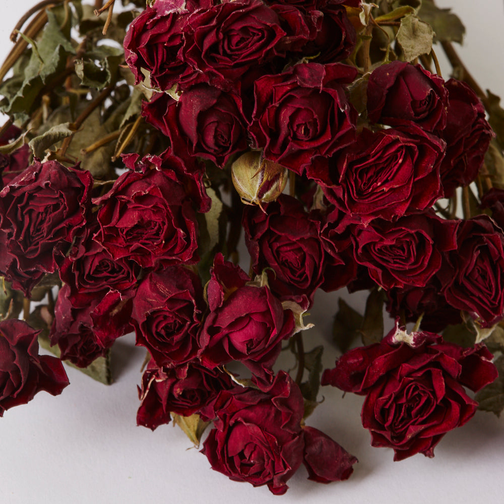 Roses, Spray, Dried, Natural Red, x 10 Stems