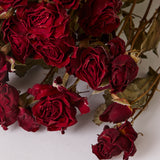 Roses, Spray, Dried, Natural Red, x 10 Stems