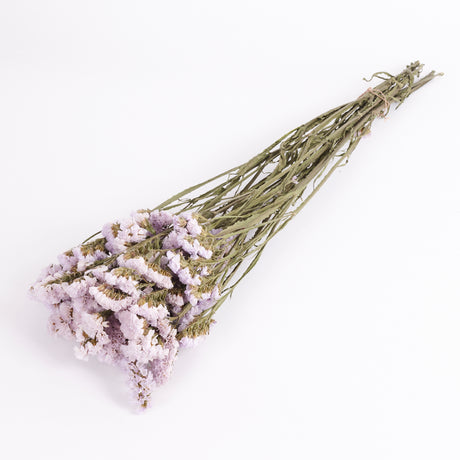 Statice sinuata Natural Lilac colour, Dried.  Image shows a full bunch