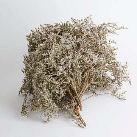 Statice tatarica, Dried, White, per Kg