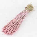 A large bunch of long straw like stems, painted light pink. With long stacked seed heads 