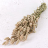 A bunch of natural coloured bunny tails, green stems and fluffy nude heads