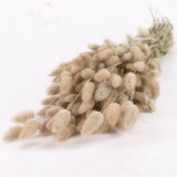 A close up of the fluffy bunny tail heads, in a natural colour which is nude