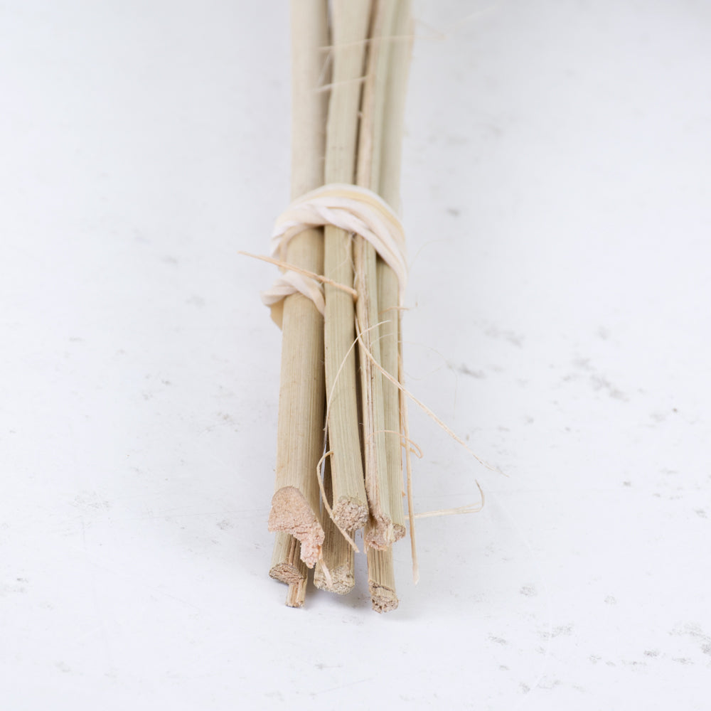 Woody sticks tied together with an elastic band