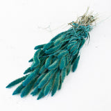 Dried Setaria Grass, Petrol Blue, 65cm Bunch