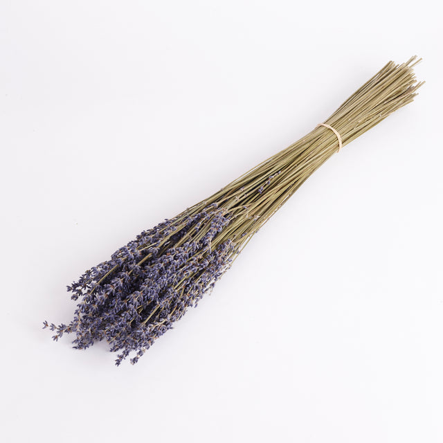 Image shows a bunch of Dried Organic Italian Lavender