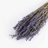 Lavender (Organic), Dried, Natural Blue, 100g Bunch