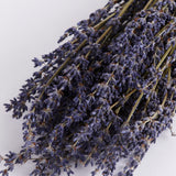 Close up image of dried lavender stems.  Natural and Dried Italian Organic Lavender.