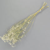 A bunch of preserved white gypsophila stems, long green stems, delicate white flowers