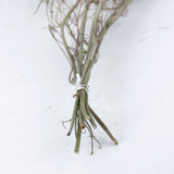 Stems of the bunch of limonium, 6 thicker stems ties together and a few thinner ones