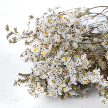 Delicate white flowers some with yellow centres