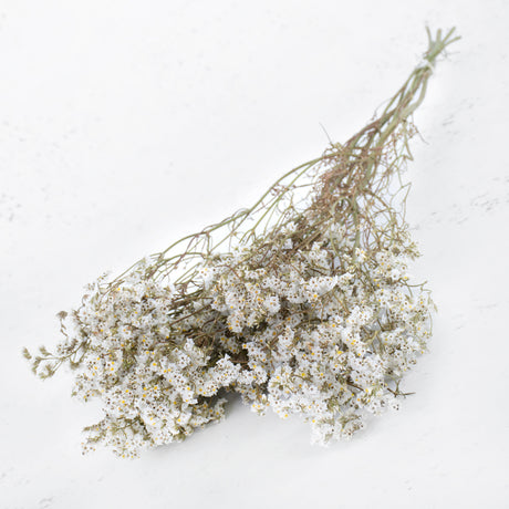 Long twig like branches with delicate small white flowers on the ends