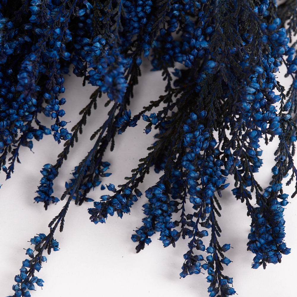 Heather, Preserved, Blue, 150g