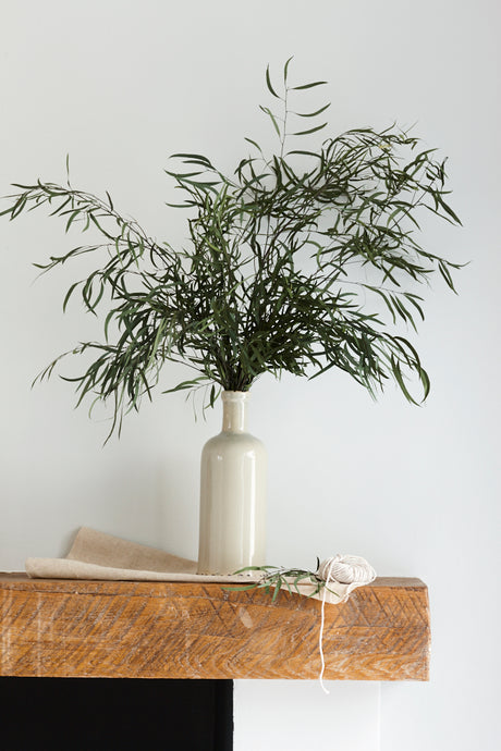 Long dark green sweeping branches covered in thin long leaves, displayed in a white vase