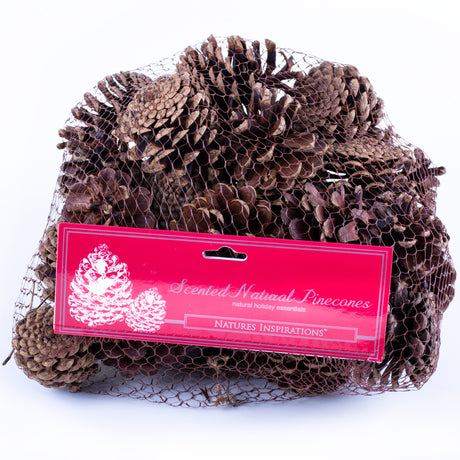 This image shows a net containing pine cones, set against a white background