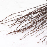 Long thin brown twig branches