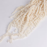 Amaranthus caudatus, Bleached White, 150g