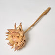 Artichoke, Natural, 8-10cm, Per Stem