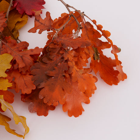 Oak Foliage, Preserved, Autumn Colours, 150g