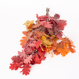 Oak Foliage, Preserved, Autumn Colours, 150g