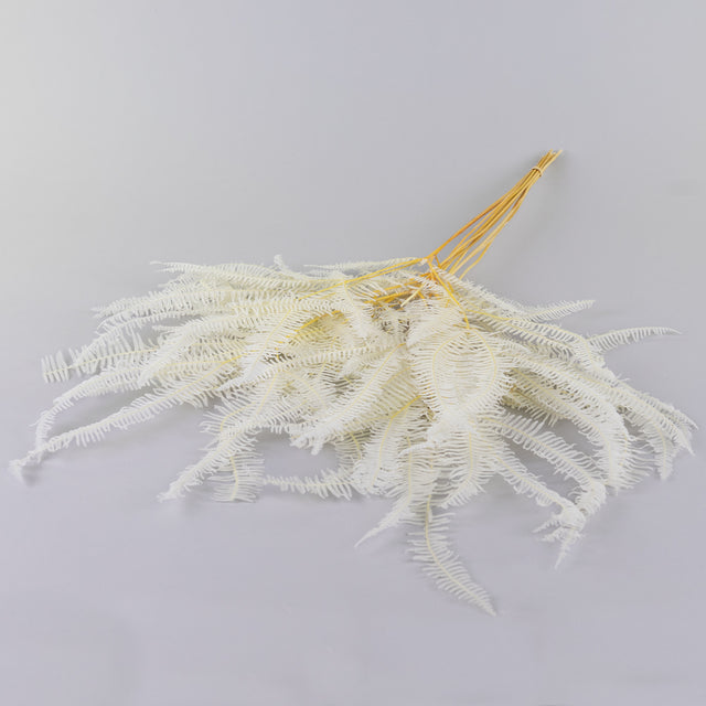 Coral Leaf, Bleached White, 10 stem Bunch