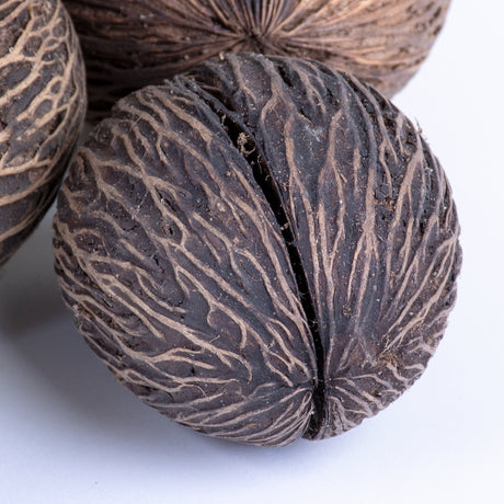 This image shows a bowl full of Mintolla balls set against a white background