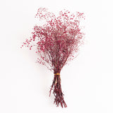 Gypsophila, Preserved, Fuchsia Pink