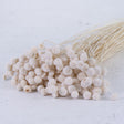 Amararellinho, Bleached White, 100g Bunch