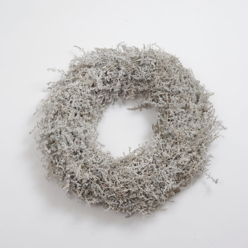 Asparagus Fern Wreath, Waxed, White, 45cm Diameter