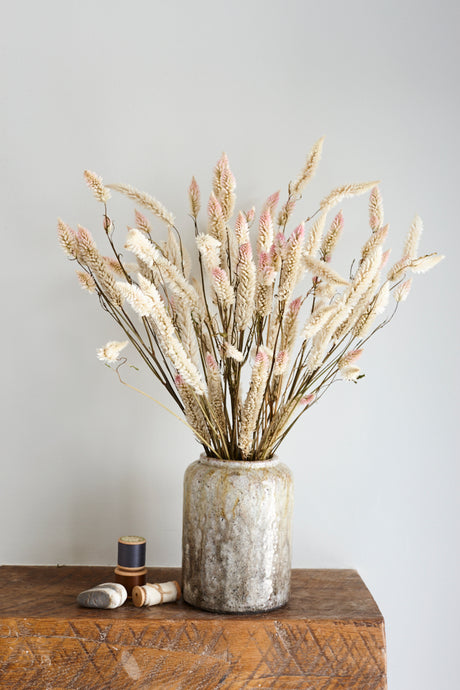 Celosia, Dried, Natural Pink, Bunch