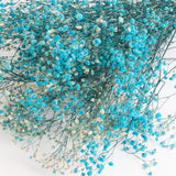 Gypsophila (Verdissimo), Preserved, Light Blue, 100g