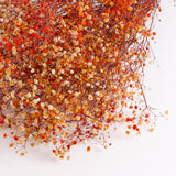 Gypsophila (Verdissimo), Preserved, Orange, 100g