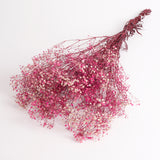 Gypsophila (Verdissimo), Preserved, Bright Pink, 100g