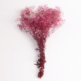 Gypsophila (Verdissimo), Preserved, Bright Pink, 100g