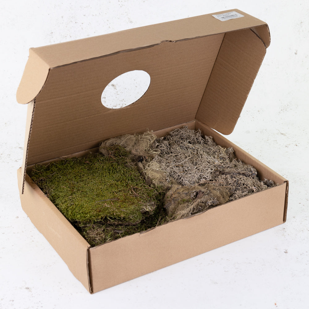 Moss, Mixed Box, 650g