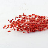 Sago, Dried, Red