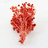 Sago, Dried, Red